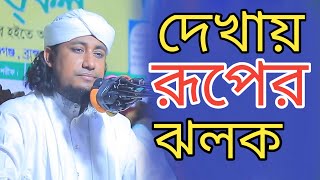 দেখায় রুপের ঝলক।মুফতি গিয়াস উদ্দিন তাহেরি নতুন জিকির।mufti gias uddin taheri new jikir 2024 [upl. by Booth371]