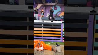 kwaku summer festival 2024 met selecta beats trending shortsvideo netherlands suriname [upl. by Macdougall565]