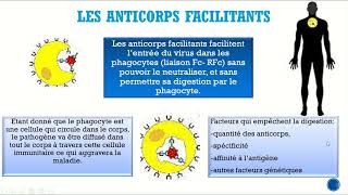 SV Chap 7 Doc 5 Partie 5 Les anticorps peuventils endommager le tissu de lhôte [upl. by Mac574]