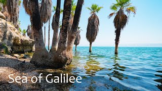 Serenity by the Sea of Galilee Healing Waves and Tranquil Sounds [upl. by Elwood]