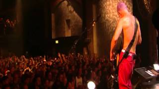 Red Hot Chili Peppers  Look Around  Live in Köln 2011 HD [upl. by Wandie]