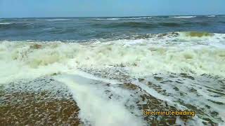 Beautiful Sea  Alaiye sitralaiye Waves  Sea  Beach scene  kadhalsadugudu relaxing [upl. by Naillik64]