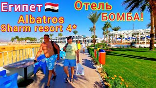 Египет 2024🇪🇬 ЗНАМЕНИТАЯ четвёрка Albatros Sharm Resort 4 Все ХОТЯТ в этот ОТЕЛЬ❗️ ШармэльШейх [upl. by Asinla]