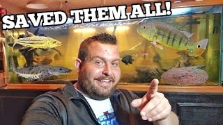 MONSTER Fish Room SHUTDOWN I RESCUED All The EXOTIC FISH [upl. by Inaboy]