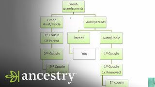 What is a First Cousin Once Removed  Ancestry [upl. by Carolyn458]