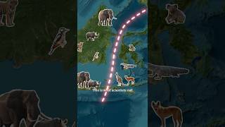 Why Animals Don’t Cross This Invisible Border 🚧 Wallace Line 😱 [upl. by Buchalter711]