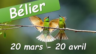 ♈️ BELIER 🐏  20 mars au 20 avril [upl. by Aihsotal]