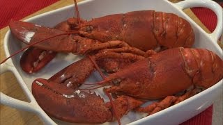 Which Restaurants May Be Serving You Cheap Fish Instead Of Lobster [upl. by Ymiaj]