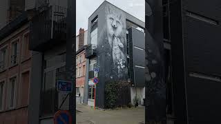 Street art Gent Belgie 2024 [upl. by Enela]