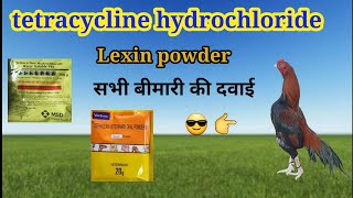 मुर्गियों की बीमारी की दवाई lexin powder tetracycline hydrochloride aseelmurgake [upl. by Norman]