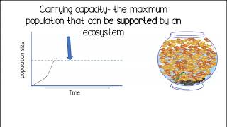 Carrying Capacity [upl. by Redmund945]