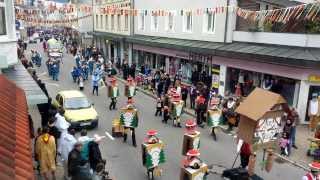 Furtwangen Fasnet 2014  Sonntagsumzug [upl. by Yllet]