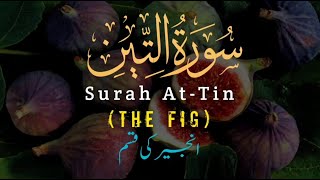 Surat AtTin The Fig  سورة التين I Recitation with urdu translation💚 [upl. by Graces]