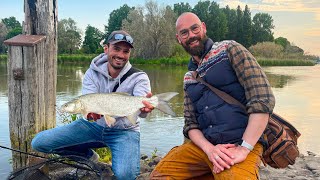 Streetfishing in Dordrecht met roofvisexpert Simon Torenbeek [upl. by Mildred]