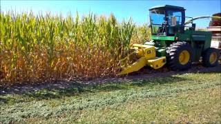 Chopping silage 2014  5730 John Deere harvester [upl. by Emmery350]