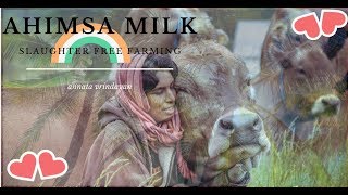 Farm project in USA for Ahimsa Milk  Slaughter Free [upl. by Jesh]