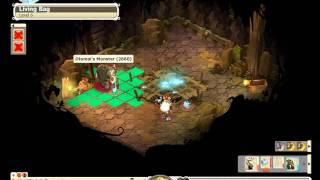 Dofus  Otomais Monster Solo  Bird Skull [upl. by Orthman]