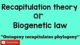 Recapitulation theory  Biogenetic law [upl. by Aztirak183]