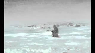 Funny stuff  Ice Fishing Attack man gets attacked while fishing by a whale hilarious [upl. by Rehprotsirhc]