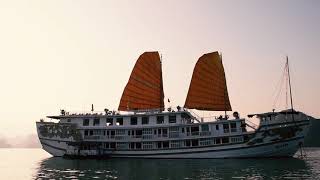 AmaWaterways AmaDara on the Mekong [upl. by Atteve337]