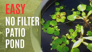 EASY No Filter Patio Pond Setup with RICEFISH [upl. by Elish]