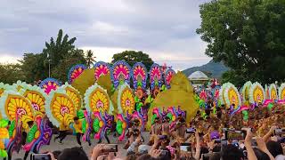 CHAMPION PINTADOS FESTIVAL 2023 TRIBU MAGURUMA OF LINGGANAY FESTIVAL OF ALANGALANG LEYTE [upl. by Nylegna852]