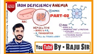 IRON DEFICIENCY ANAEMIA PART 02 [upl. by Trainer]