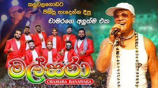 Malsara Chamara Ramawaka New Reggae Song  කළුවලගොඩට පිස්සු හැදෙන්න දීපු චාමරගේ අලුත්ම එක මල් සරා [upl. by Ggerg592]