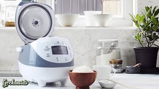 Yum Asia Panda Mini Rice Cooker Review [upl. by Nabru]