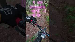 Hidden mtb Singletrails in austria [upl. by Aniat132]