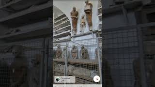 Scary Place Found On Google Earth  Capuchin Catacombs Palermo Italy shorts [upl. by Mccahill]