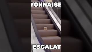 Mayonnaise on an escalatormayonesa en una escalera Meme [upl. by Ettennan]