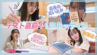 【ルーティン】優等生の期末テスト1週間前のリアルな過ごし方！📖✏️ [upl. by Zednanreh]