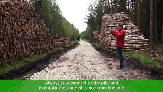 4 Panorama – How to measure timber by panorama photo video ENG Timbeter [upl. by Nnaira893]