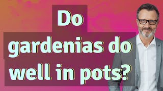 Do gardenias do well in pots [upl. by Antipus156]