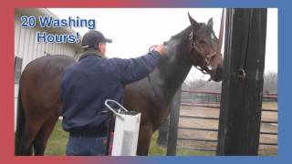 Insta Hot® Equine Portable Washing System [upl. by Bandler]