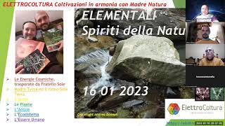 Spiriti della Natura Webinar Andrea amp Pietro ESSERI ELEMENTALI [upl. by Aradnahc]