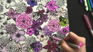 Copic Spectrum Noir Bic and Stazon Marker Comparison Cute Frame Tutorial [upl. by Roderich900]