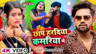 Video  छापS हरदिया कमरिया में  Vishal Yadav  Ft Pallavi Singh  Bhojpuri Hit Song [upl. by Alletsirhc]