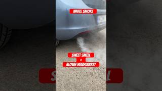 White smoke from exhaust whitesmoke bmw opel shevrolet kia maintenance diy shorts [upl. by Aleda]