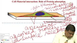 Lec 30 Introduction to biological system [upl. by Aihsot]