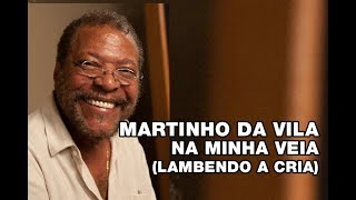 Martinho da Vila  Na minha veia Lambendo a Cria [upl. by Aenehs]