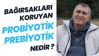 PROBİYOTİK ve PREBİYOTİK NEDİR PREBİYOTİK KAYNAKLARI BESİNLER YİYECEKLER MEYVELER NELERDİR [upl. by Enidan458]