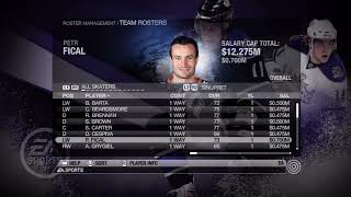 NHL 09 Sinupret Ice Tigers Overall Player Ratings [upl. by Ainoet]