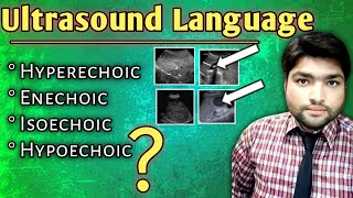 Decoding Ultrasound Language  Understanding Hyperechoic Hypoechoic Echogenicity Isoechoic and [upl. by Bergmans116]