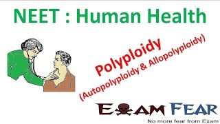 NEET Biology Human Health  Polyploidy autopolyploidy and Allopolyploidy [upl. by Musihc985]