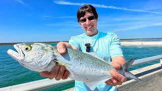 Caught Dinner for 4 at Matanzas Inlet Bridge❗️ [upl. by Ramin]