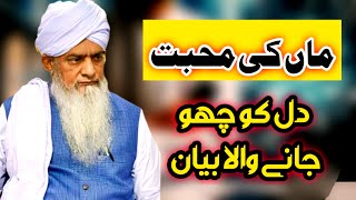 Best Speech About Maa Ka Piyaar By Hazrat Peer Zulfiqar Ahmad Naqshbandi [upl. by Lorette]