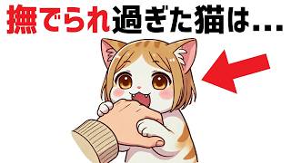 猫の雑学【30選】 雑学 豆知識 猫 [upl. by Airelav]