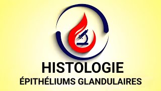 HISTOLOGIE 😷🔬 ÉPITHÉLIUMS GLANDULAIRES 1ÈRE ANNÉE 🩺💊🦷 [upl. by Seditsira]